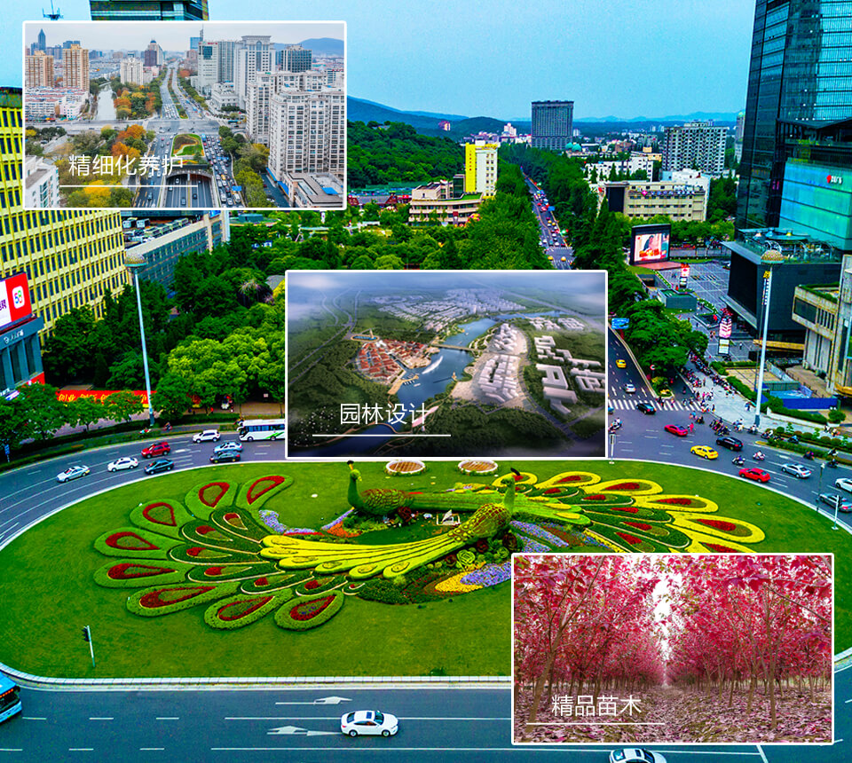 園林工程施工設（shè）計